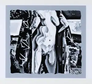 Abstract black and white image by Brian A Reid of a nude figure in a patterned robe. The stylised rendering creates fluid, distorted contours with high contrast and negative space.