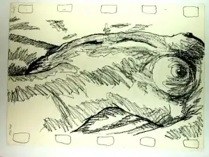 Abstract charcoal landscape drawing by Brian Reid resembling a fish eye or mountainous terrain, outlined with jagged, swirling lines. The top edge features a row of rectangular shapes, suggesting film frames or a storyboard format.