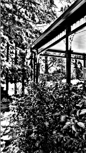 Location 7